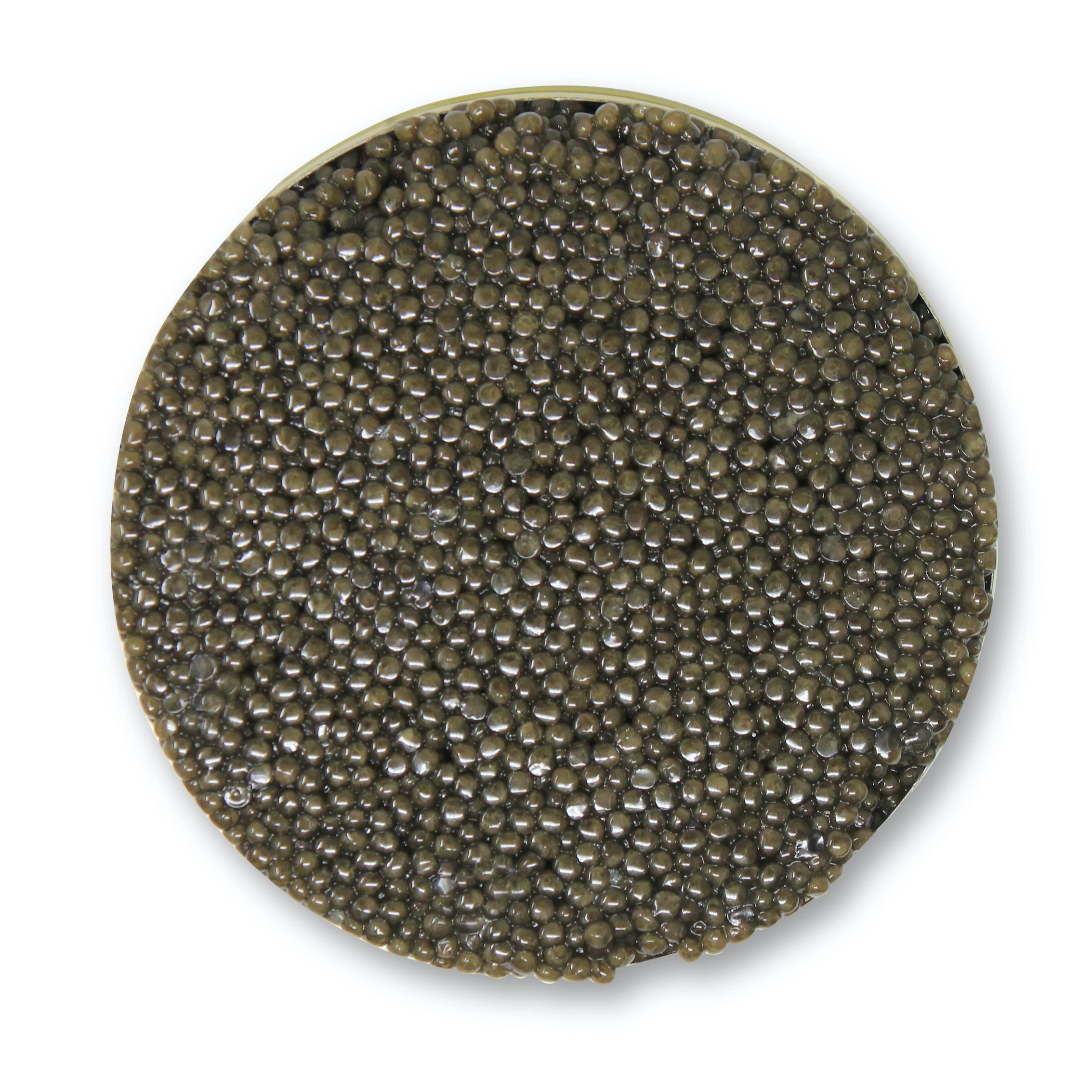 Top Quality Sustainable White Sturgeon Caviar 125gr Tin Made in Italy