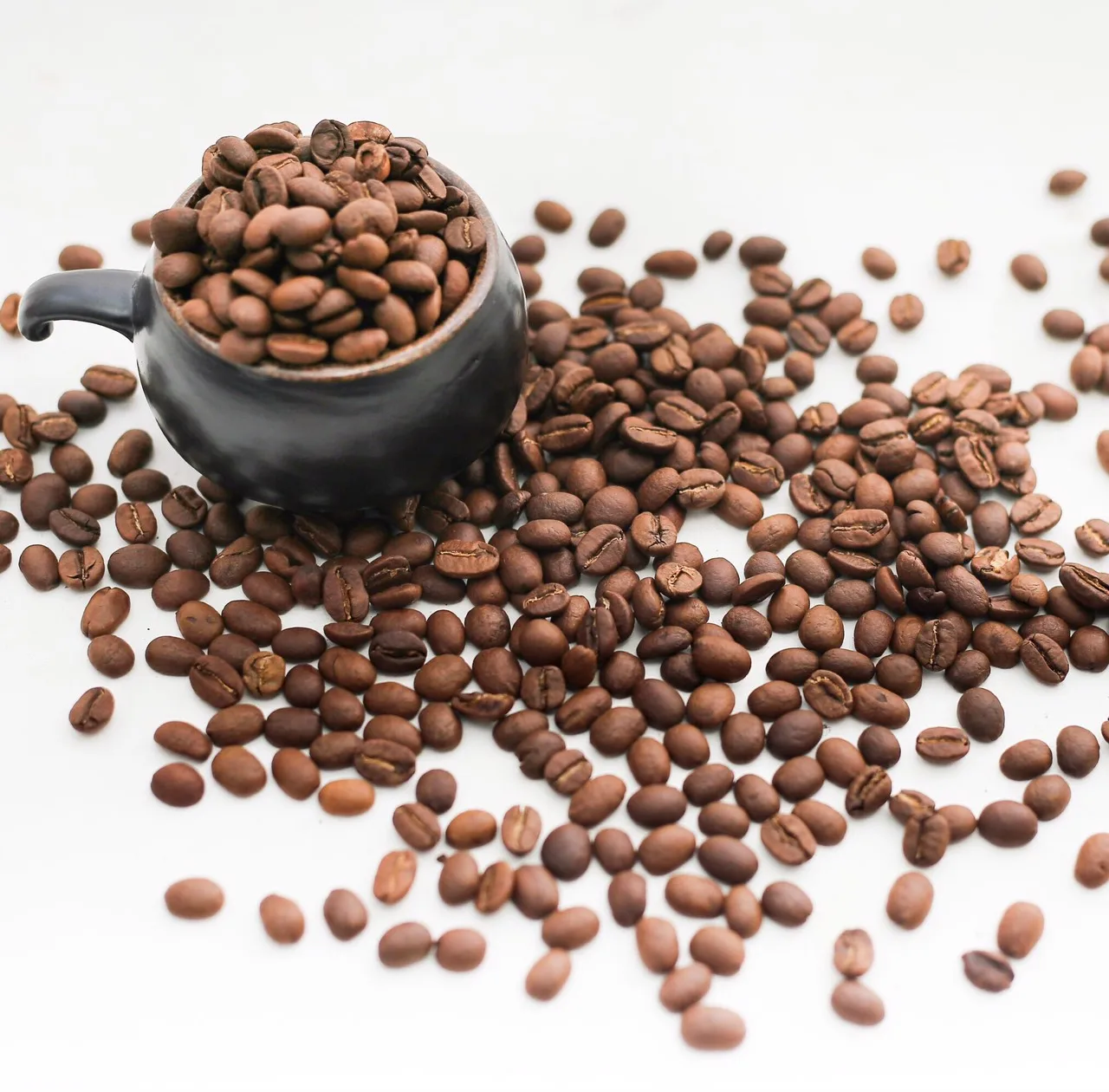 Best Roasted Hazelnut Coffee With Arabica and Robusta Bean With 7 Years Maturity In Vietnam