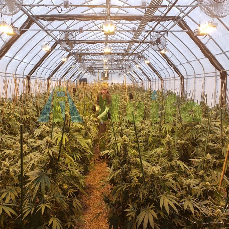 Huifa Commercial Automated Light Deprivation Blackout Greenhouse