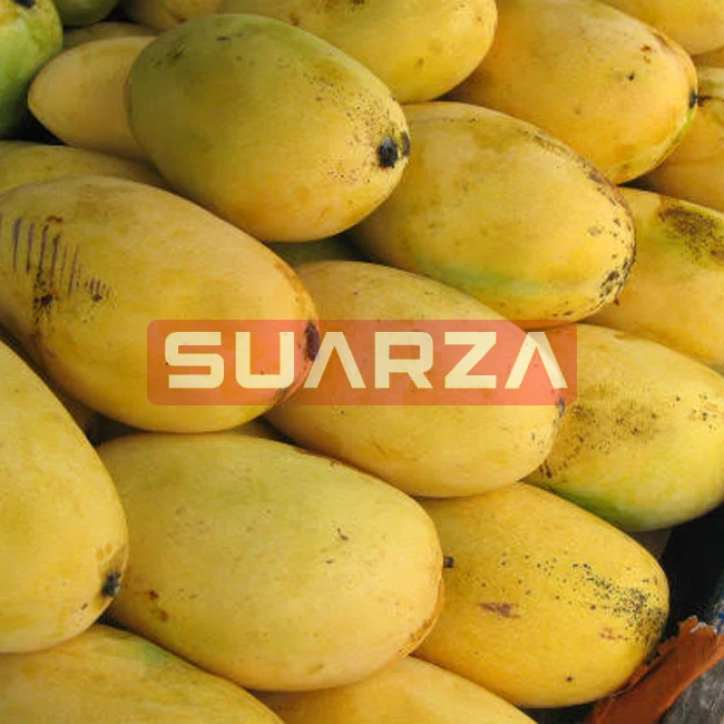 100% organic Indian  badami mango exporter at cheap price from Pakistan to all over the world