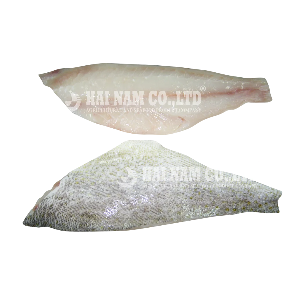 Characteristics Taste A Grade Natural Feature Fillet Frozen Sweetlips Fish Made In Vietnam
