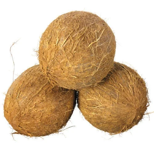 Оптовый Поставщик полуочищенного кокоса по низкой цене