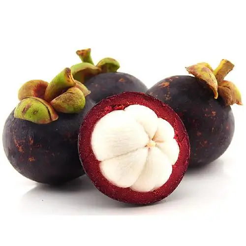 Fresh Fruit Succulent Flavor - Mangosteen Fruit New Cultivation Organic