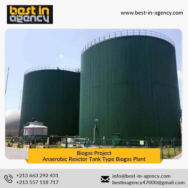 Biogas Project 20000 Nm3/Day Production Anaerobic Reactor Tank Type Biogas Plant Under EPC Mode
