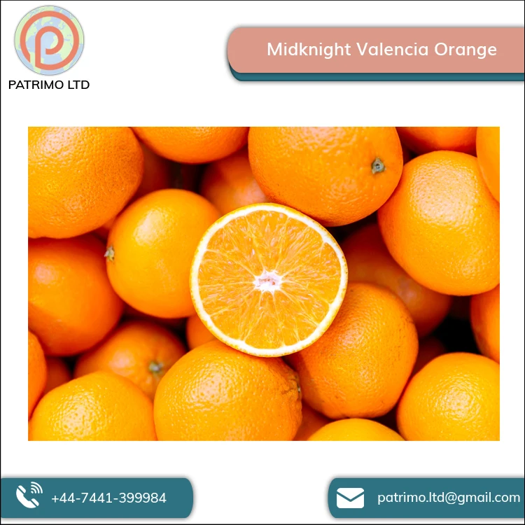 Высококачественный вкусный вкус Midknight Valencia Orange от оптового поставщика