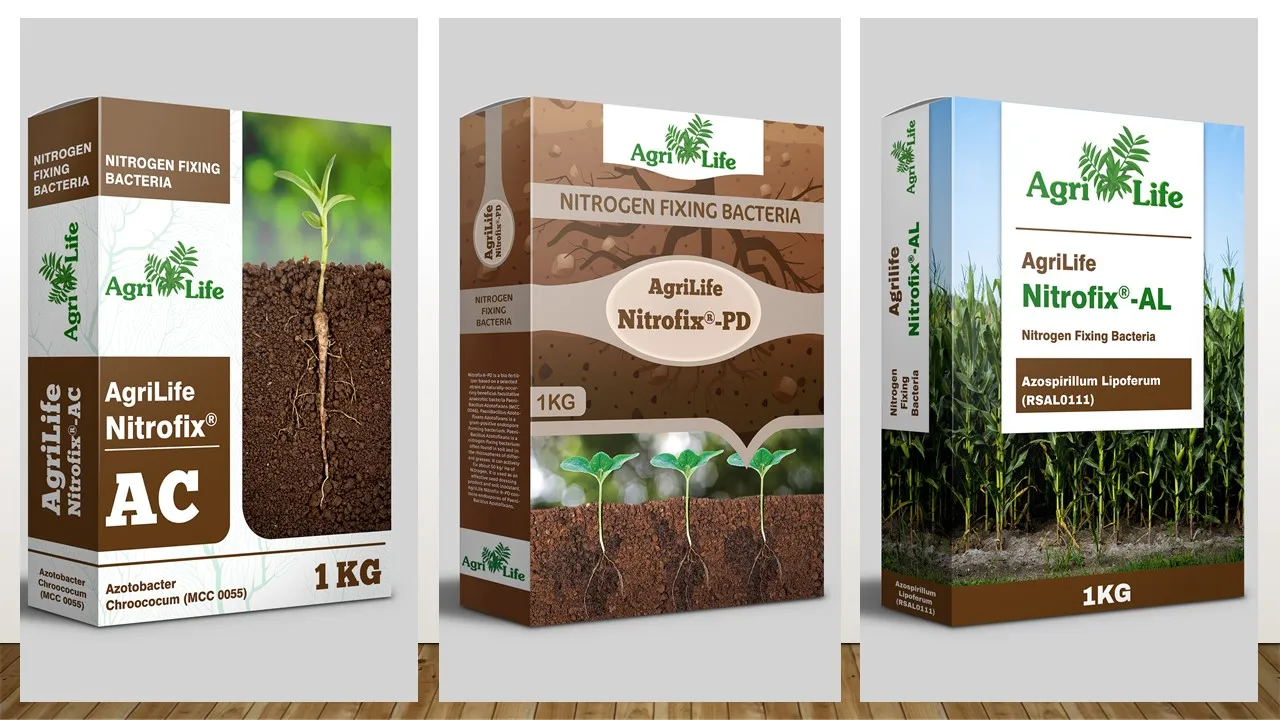 
Best Quality BioFertilizer Organic Nitrogen Fixation Bacteria Paenibacillus Azotofixans Fertilizer Indian Supplier 