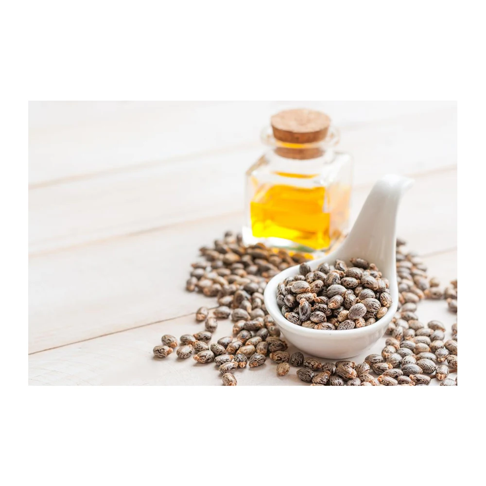 Top Quality Bulk Sale Castor Carrier Oil Cold Fresh Organic Oil for Hair Growth