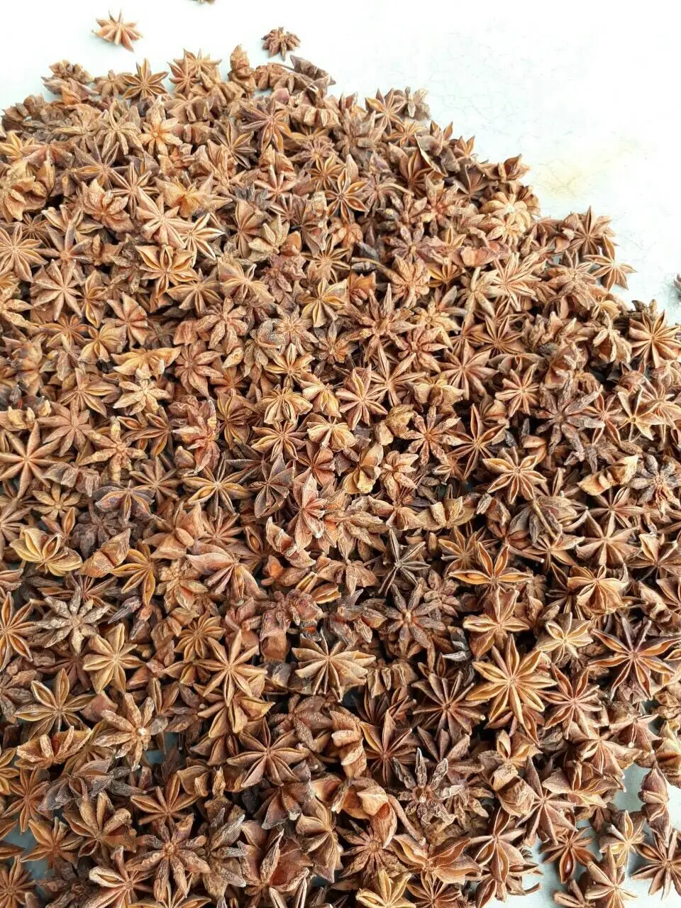 Spices & Herbs Products Natural Brown Dried Style Raw Processing Whole Anise Standard Quality New Spring Crop 2022 From Vietnam