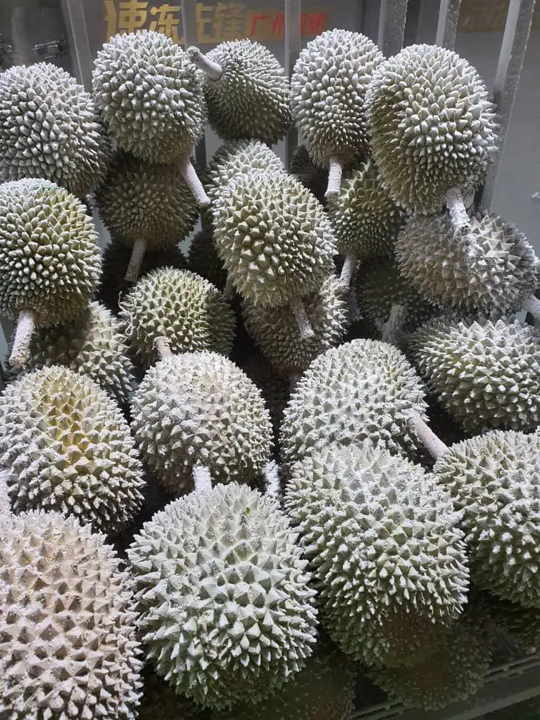 Durian Pulp Frozen Durian Fruit Pulp Halal Quality Malaysia 300g