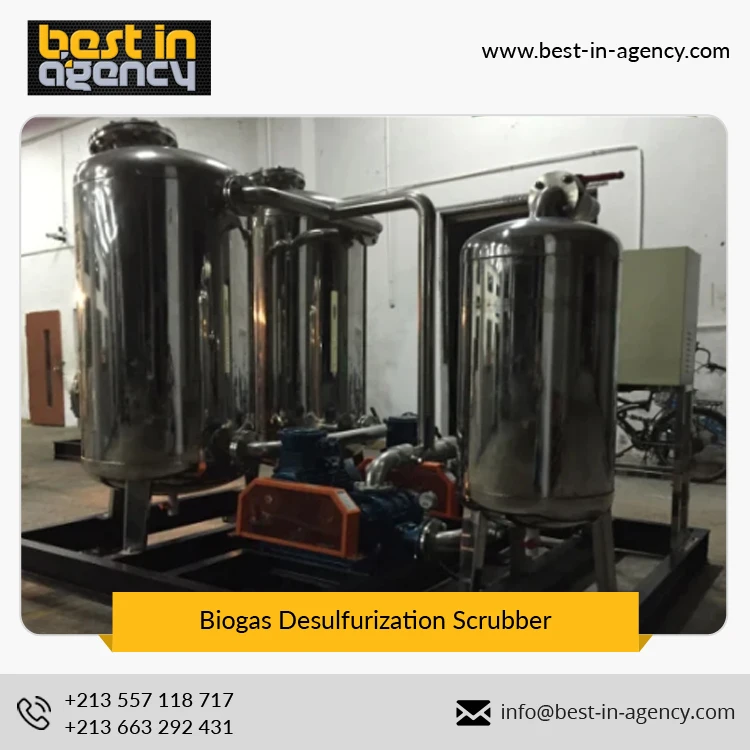 20~500 Nm3/H Biogas Flow Constant Pressure Feed to Generator Stainless Steel Biogas Desulfurization Scrubber