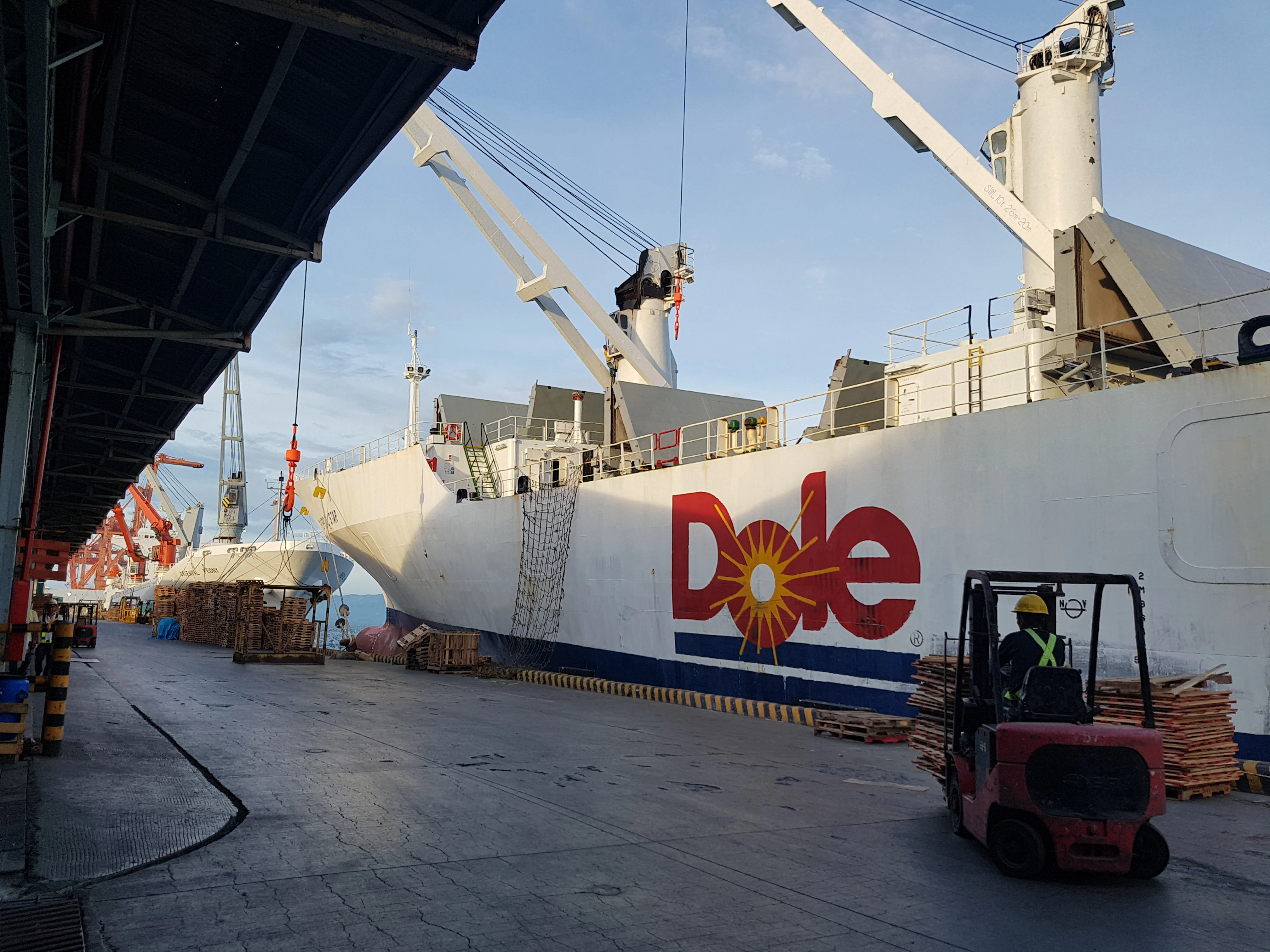Mandarin Orange Sacs in Light Syrup