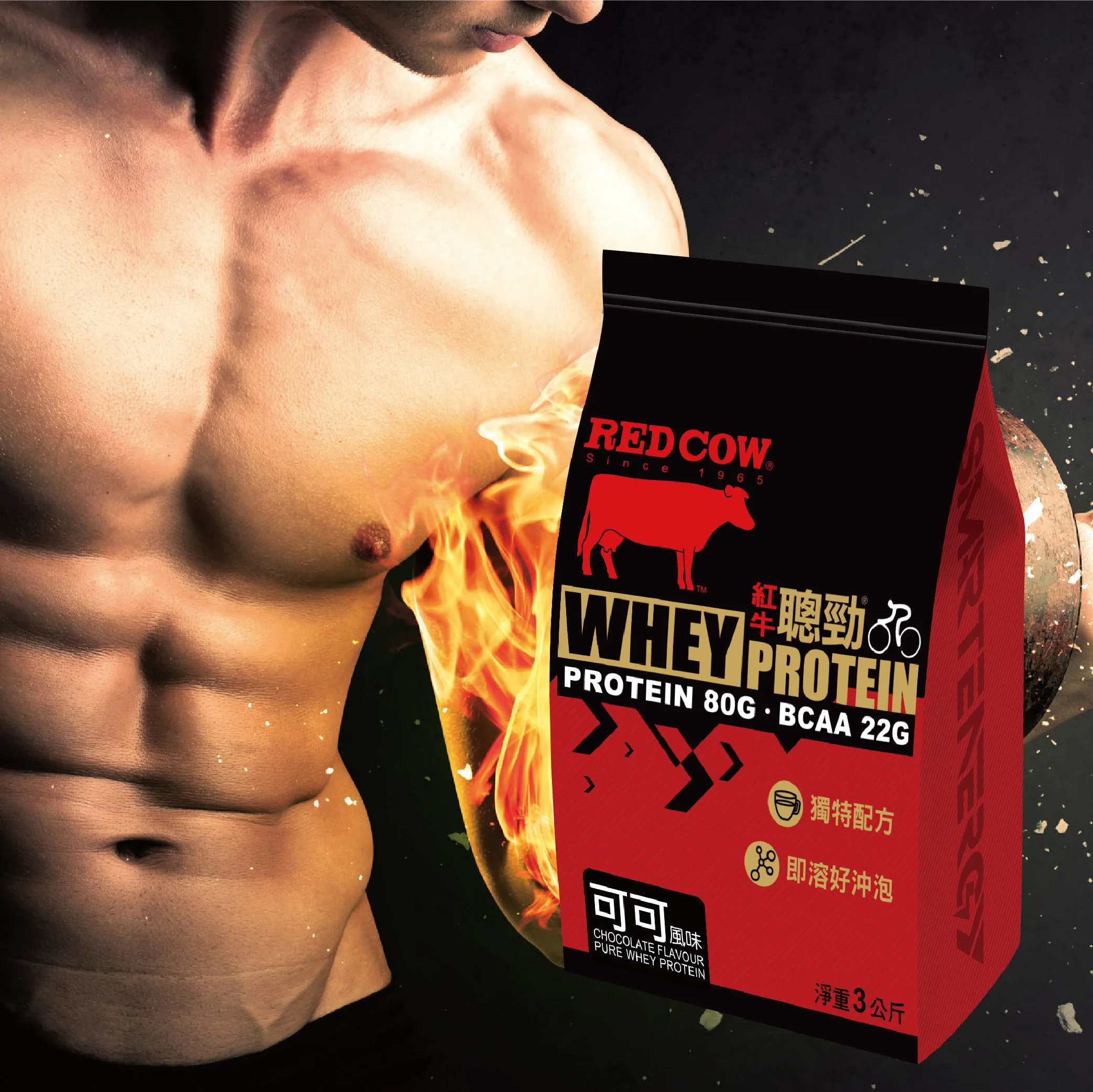whey protein powder whey Chocolate Flavour 3kg