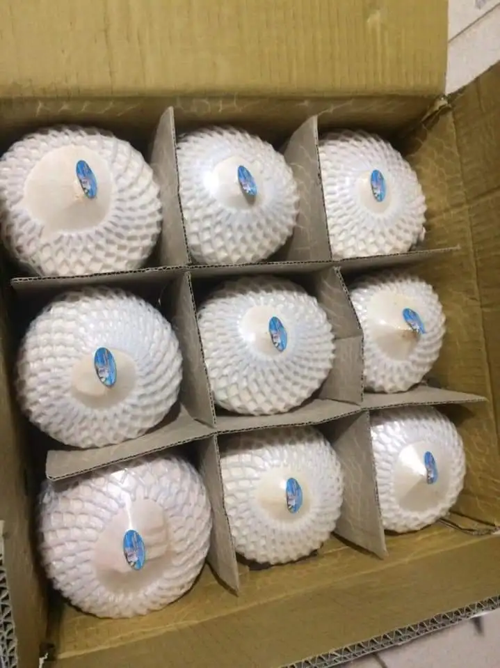 
DIAMOND COCONUT MADE IN VIETNAM +84916611103 whatsapp 