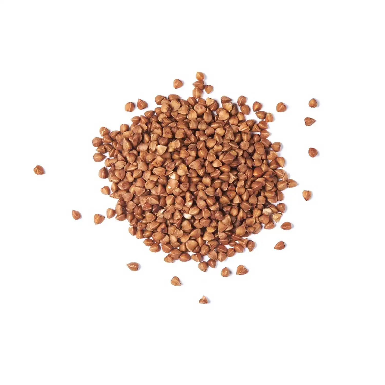 Гречневая гречиха оптовая продажа Высококачественная по лучшей цене