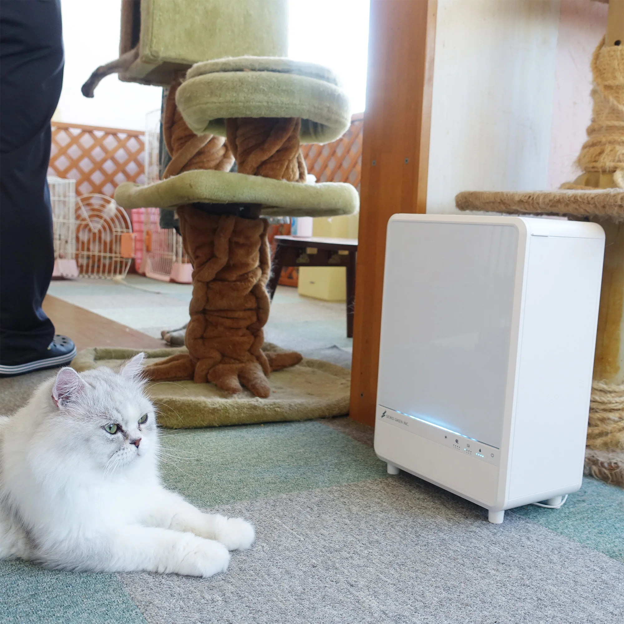 Ultrasonic atomizer for hypochlorite water built-in tank replaceable ultrasonic oscillator