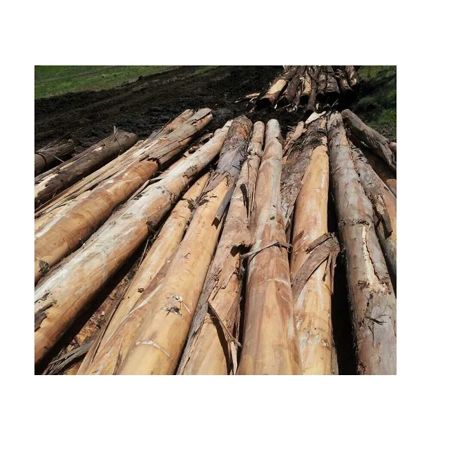 Quality Hardwood Log Ebony wood log Teak Wood - Round Logs / Pine logs / Eucalyptus Logs