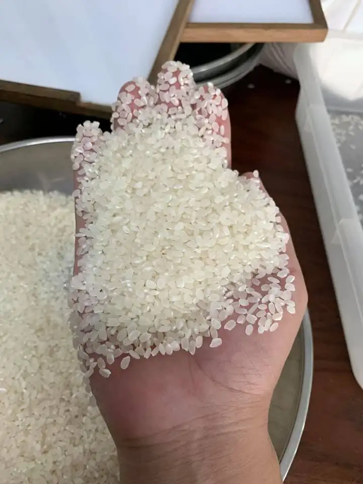 Полностью зернистый японский рис/круглый короткий семена белого риса из Вьетнама
