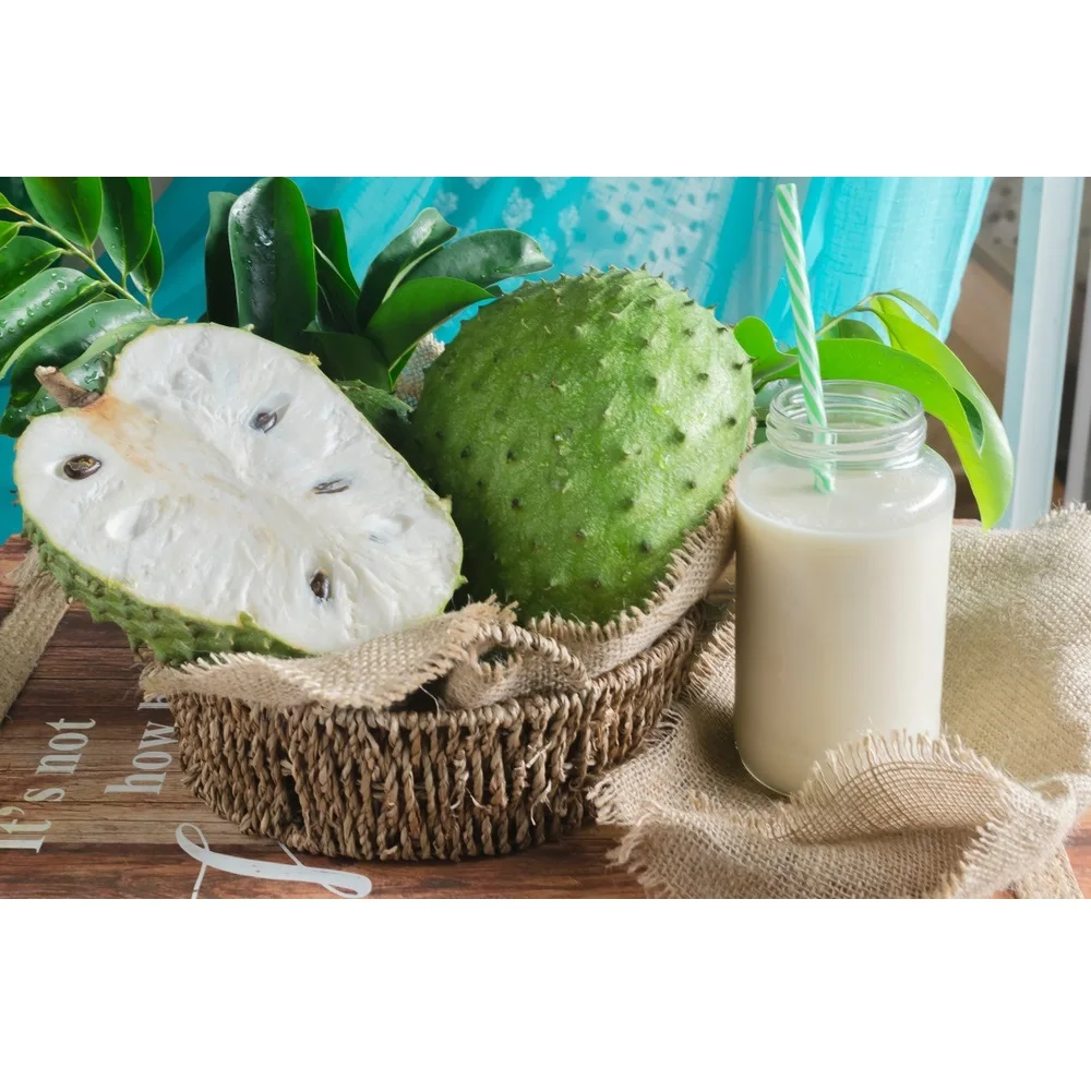 100% чистота натуральная текстура кремовый тропический фруктовый сладкий кислый слабый жир свежий сдавливаемый HPP Soursop Puree