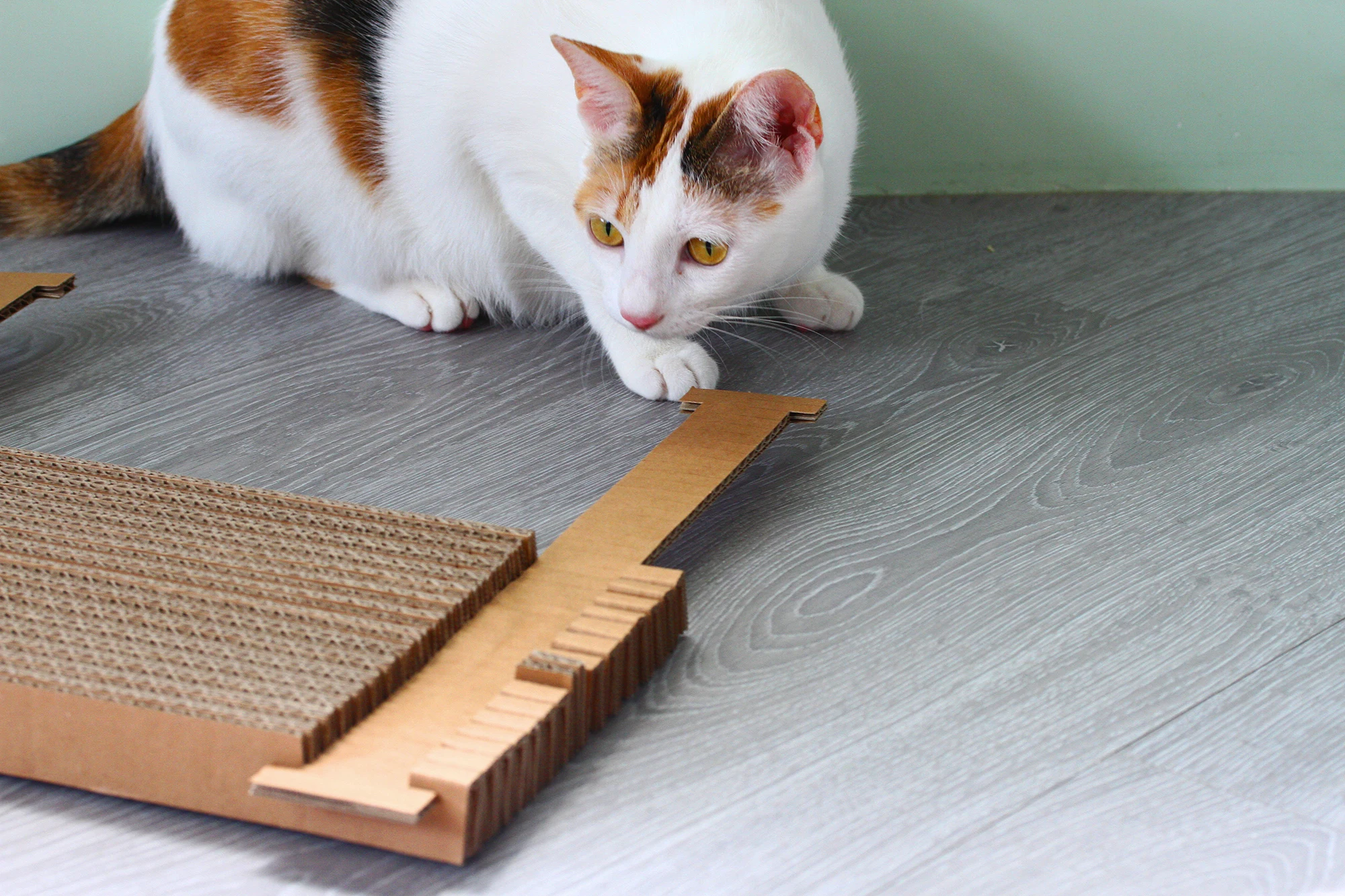 Pet Toy Cardboard Durable Cat Scratcher Board