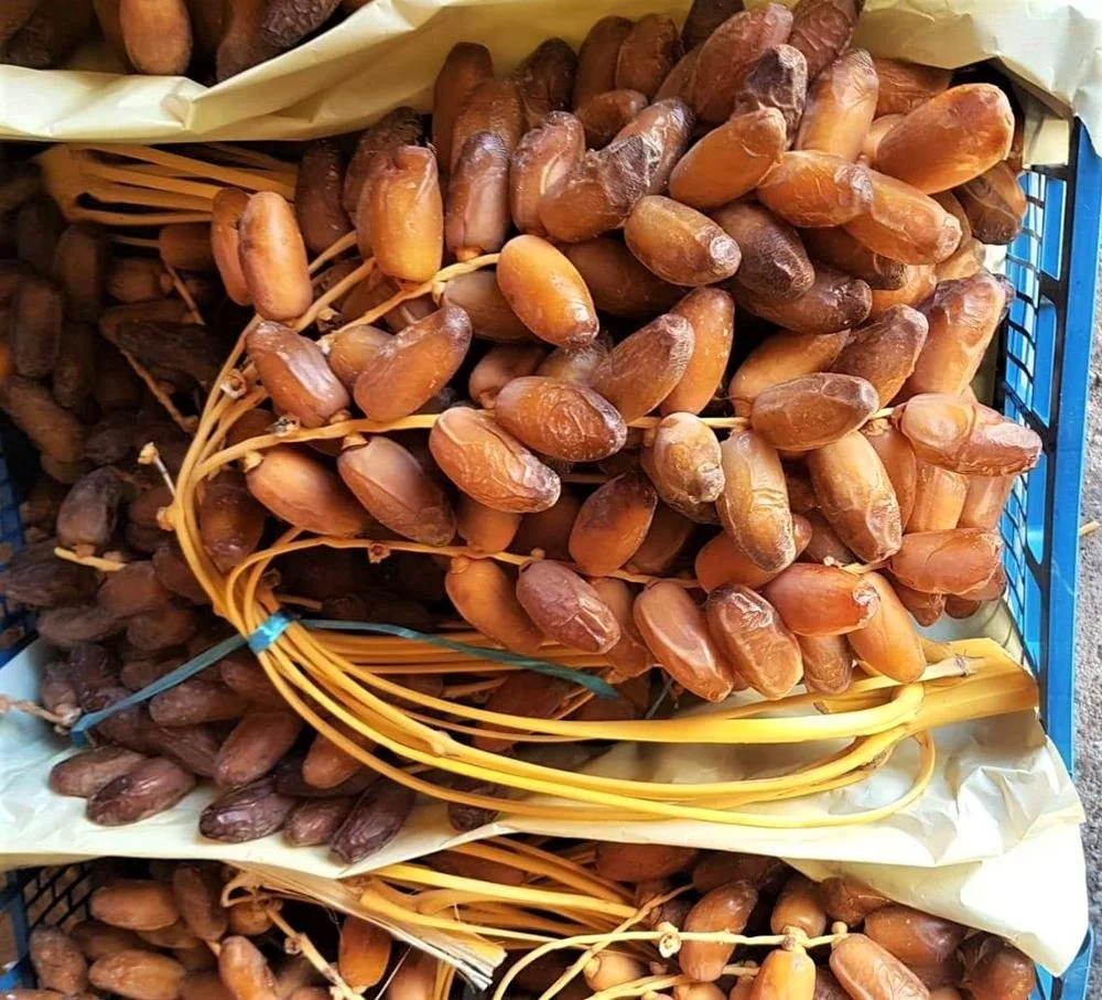 Tunisian Dates/Deglect Noor Dates/Ramadan Dates 2022!