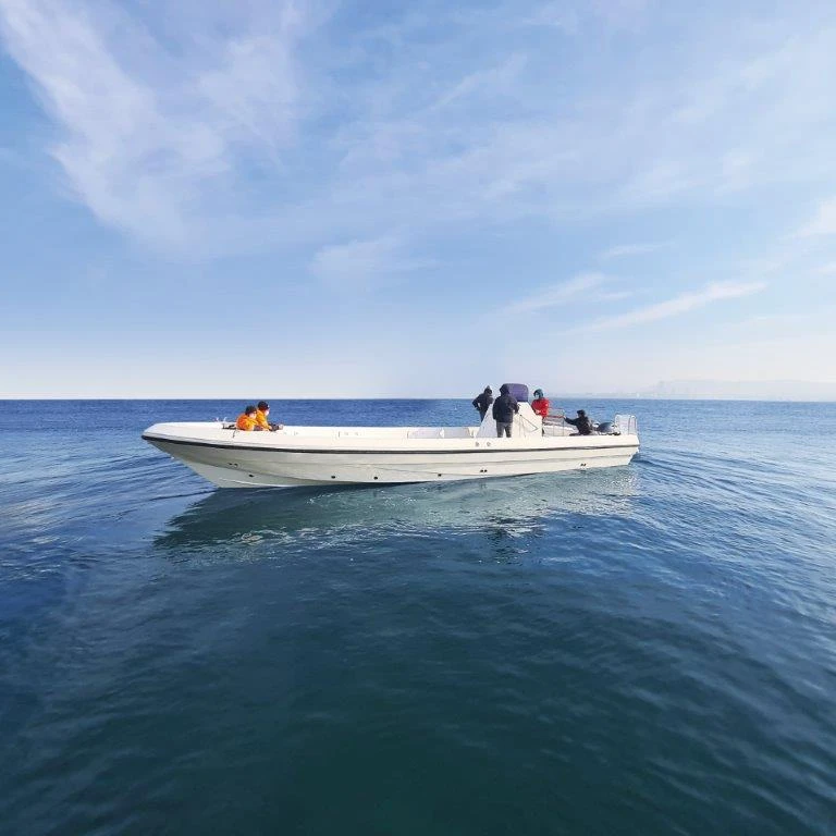 Рыболовная лодка из стекловолокна, пассажирская лодка, яхта, Круизная лодка, новая модель, горячая распродажа, Лучшая цена, Mercan Tekne Jerfi 38