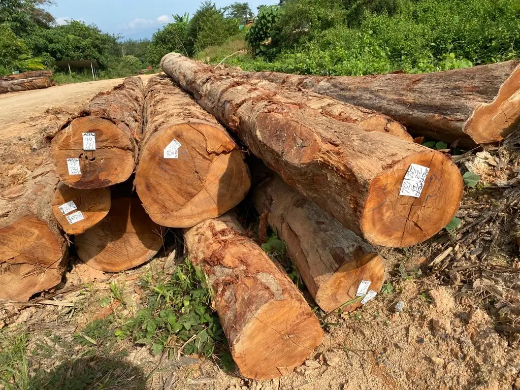 Good Quality Merbau Solid Hardwood Wood Supplier From Malaysia