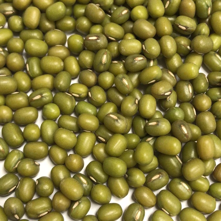 
Wholesale Premium Factory Sell High Quality Dried Green Mung Beans 