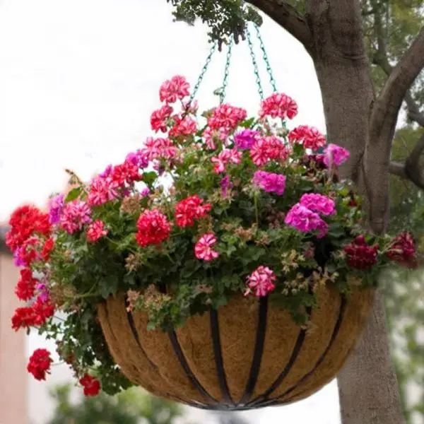  Биоразлагаемые горшки из кокосового волокна круглая подкладка подвесные цветочные MS KATHY + 84 896650714