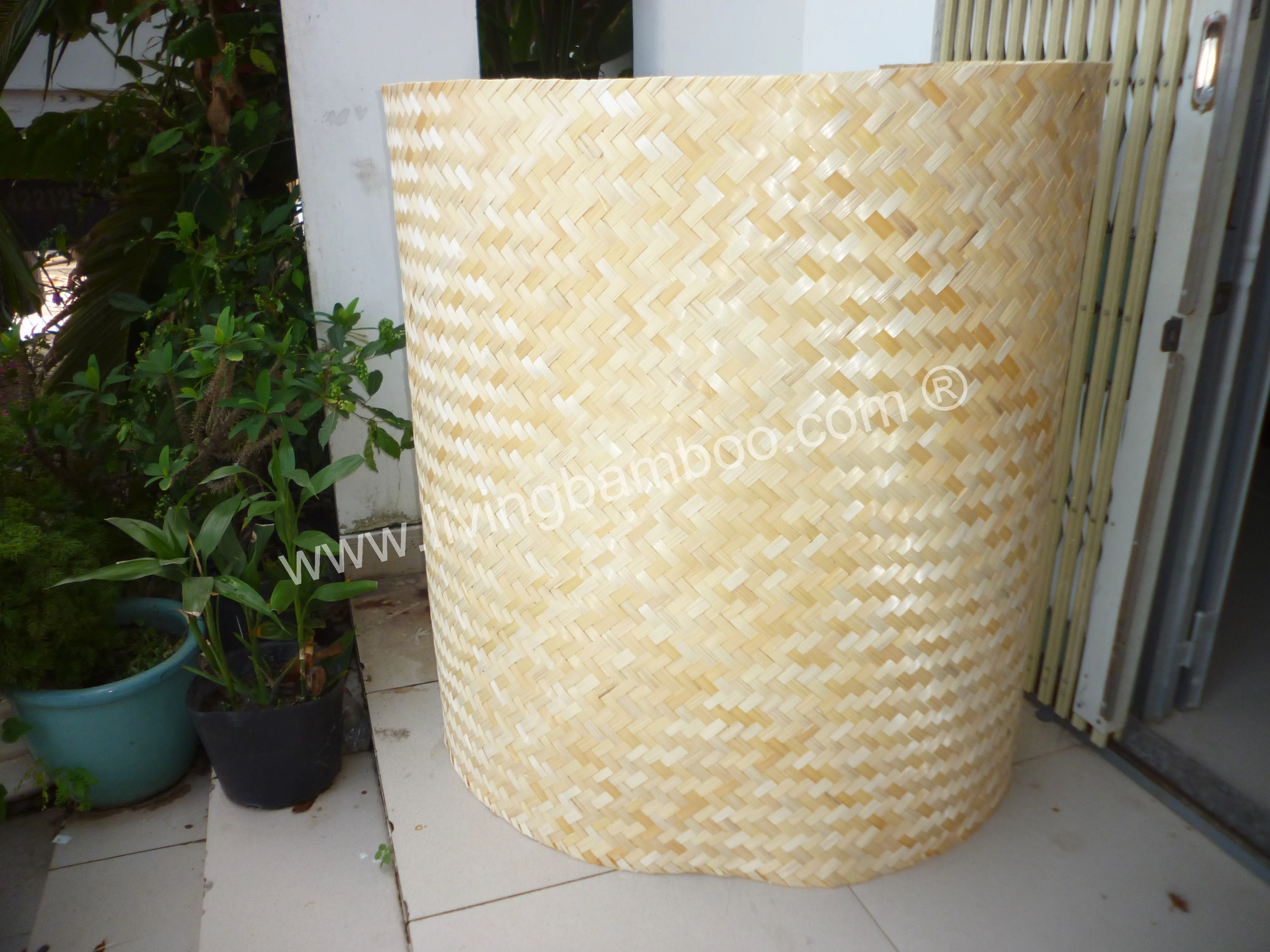 Bamboo Pole, Bamboo Fence, Thatch Panel Good Price