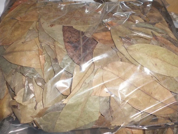 [Новинка] сушеные листья соусника россыпью/ручная сборка и на солнце формы Вьетнам/г-жа Алиса + 84 904 183 651