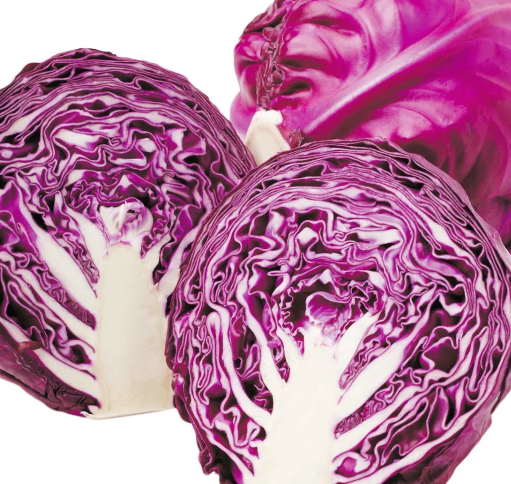 Красная капуста для продажи