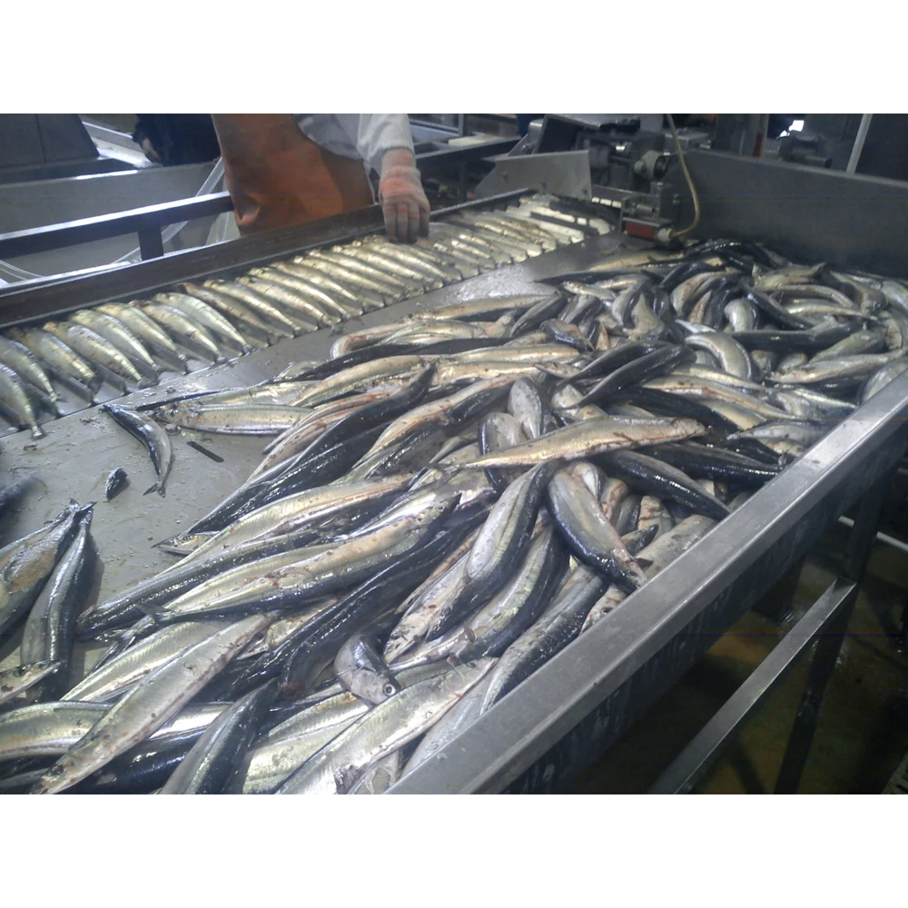 High quality fish cutting device, food processing machinery