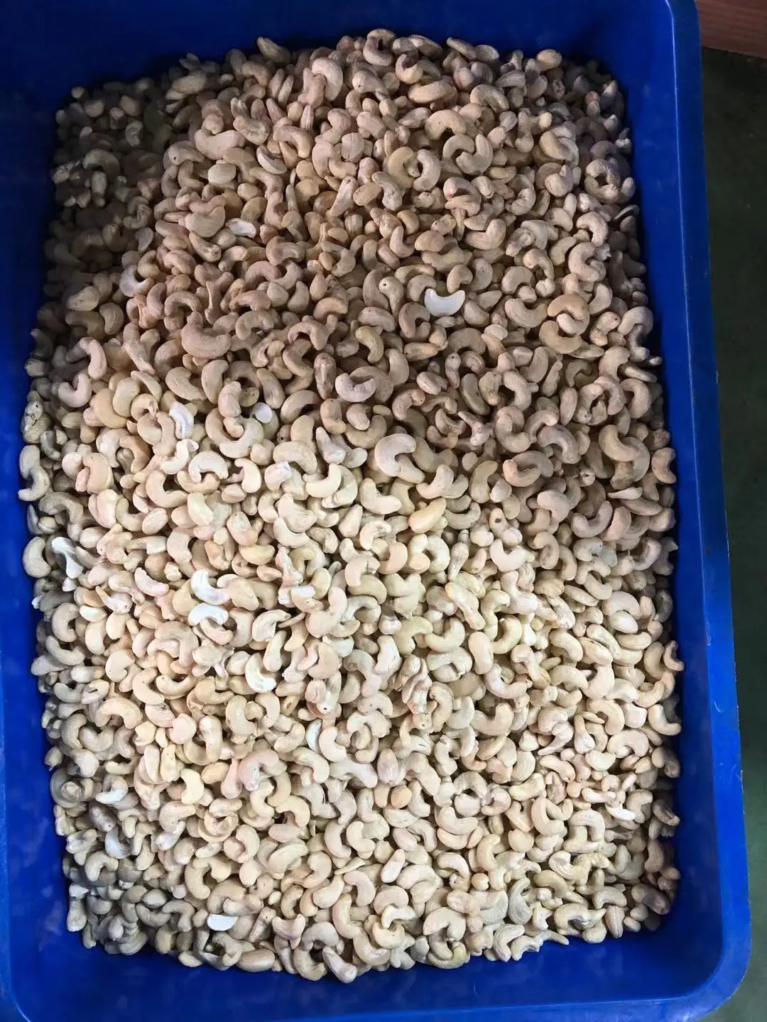 Wholesale Top Quality Made in Viet Nam CASHEW KERNELS WW320 - AFI STANDARD