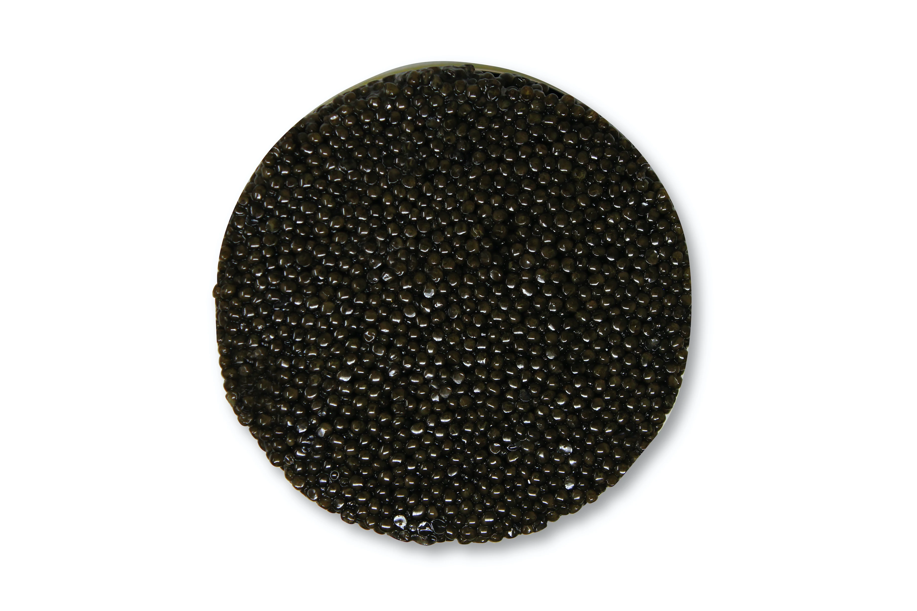 
Italian Sustainable Siberian Sturgeon Caviar Malossol 1000gr Tin 