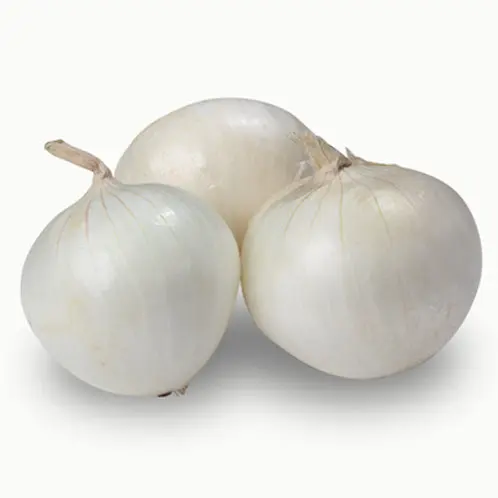 
WHITE ONION 
