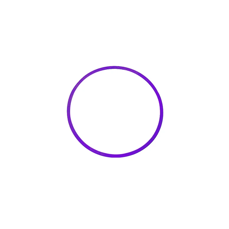 High Quality Colorful 60cm Flat Hula Physical Exercise Indoor Outdoor