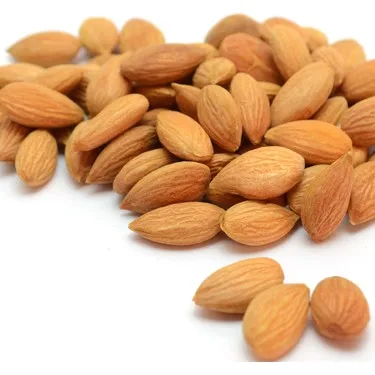 Абрикосовые ядра, турецкое качество, лидер мирового рынка, ISO BRC сертифицированные экологически чистые абрикосовые ядра