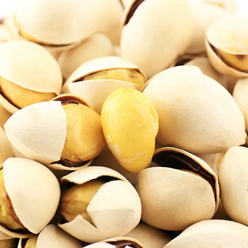 Premium fresh and dried Ginkgo Nuts Roasted wholesale Ginko Nuts for Sale best price