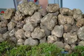 Made in Italy Food , natural truffle, packaged truffle, cream ,