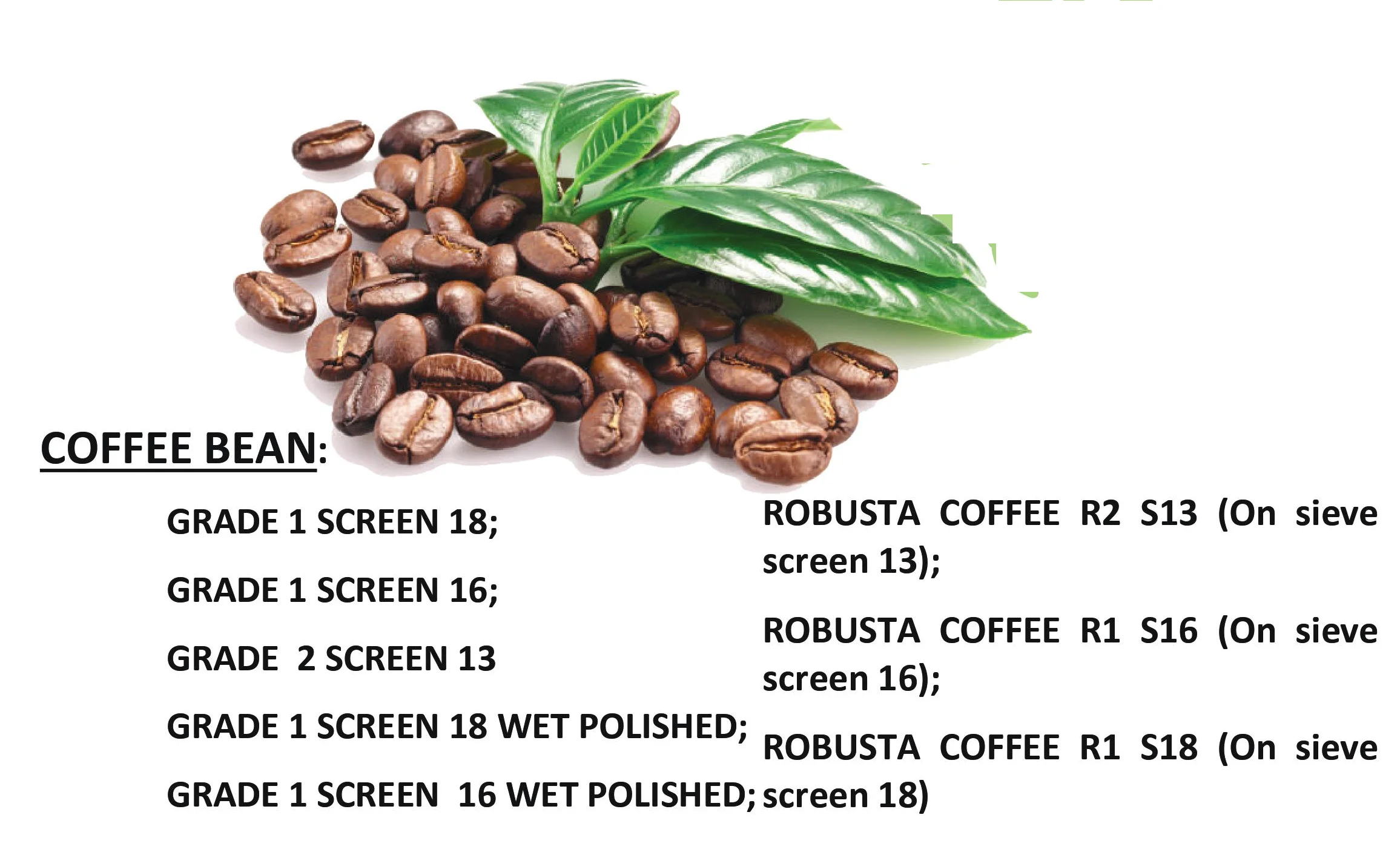 ROBUSTA COFFEE BEANS