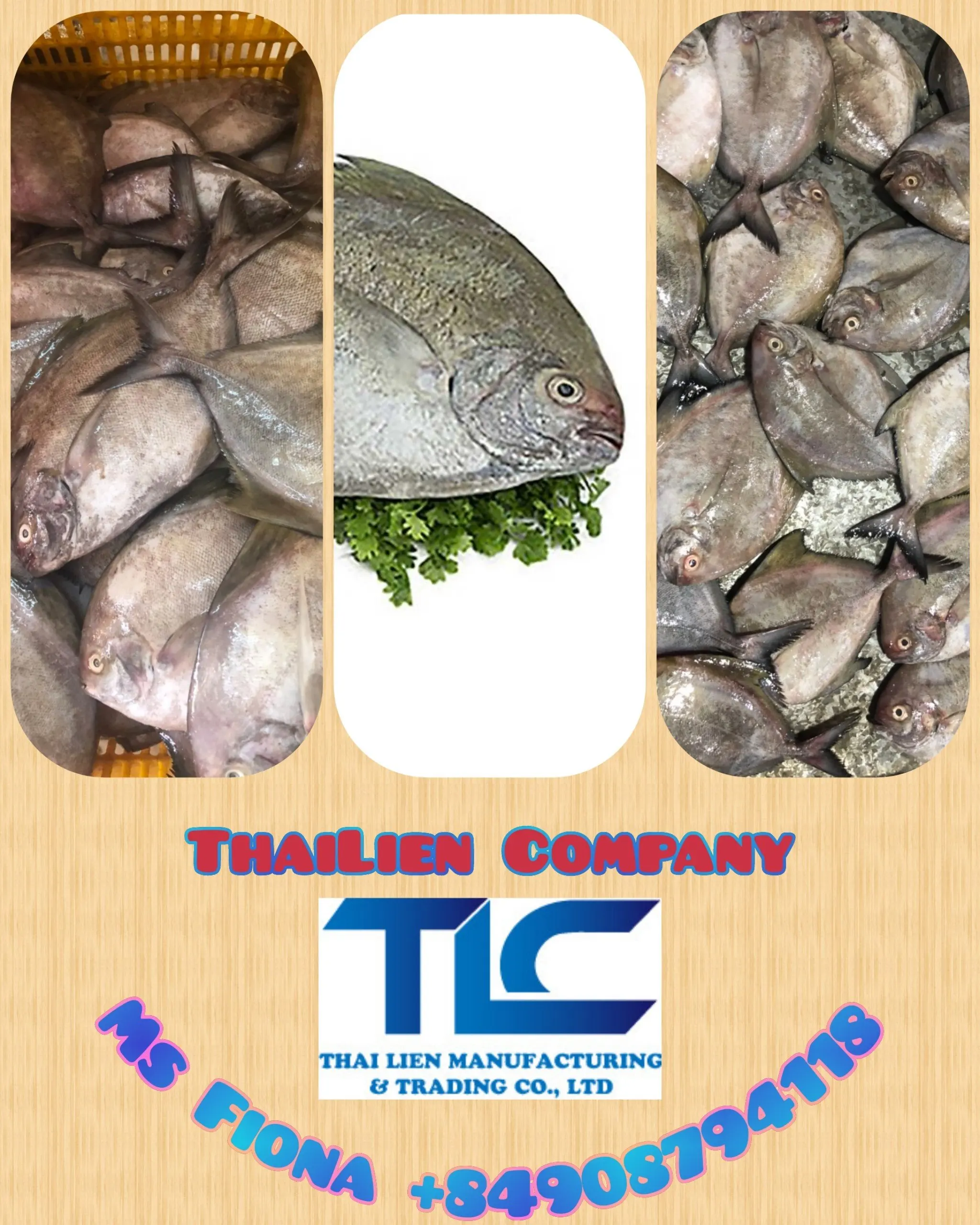 The High Quality IQF Black Pomfret with Best Price In Viet Nam (ThaiLien company, Ms Fiona +84908794118)