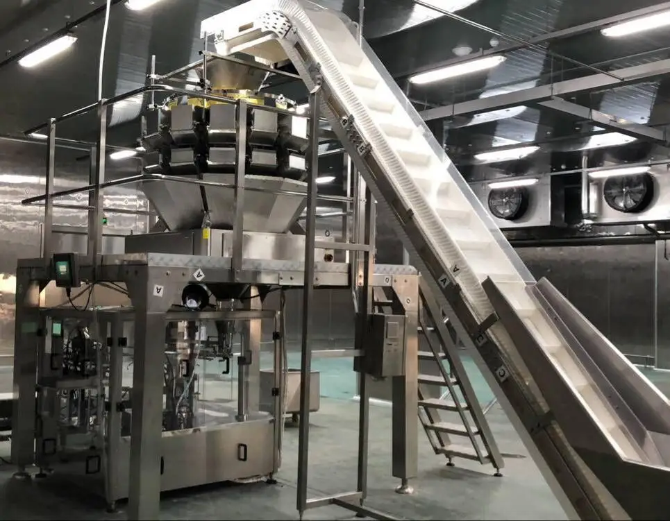 Date Zipper Pouch Sealing Machine Zipper Pouch Packing Machine Date Packing Machine