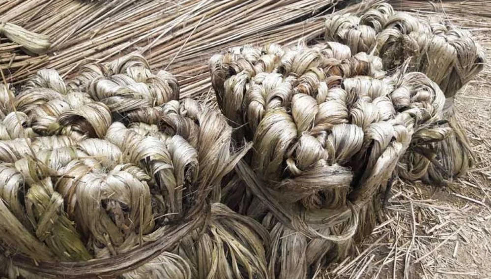 Exportable Sustainable Moisture 100% Natural Raw Jute Best Quality & Low Price 100% Natural Raw Jute Top Selling