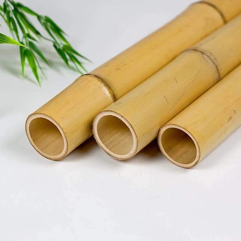 Agriculture Bamboo Sticks Raw Bamboo Poles for Nursery Planting 99GD