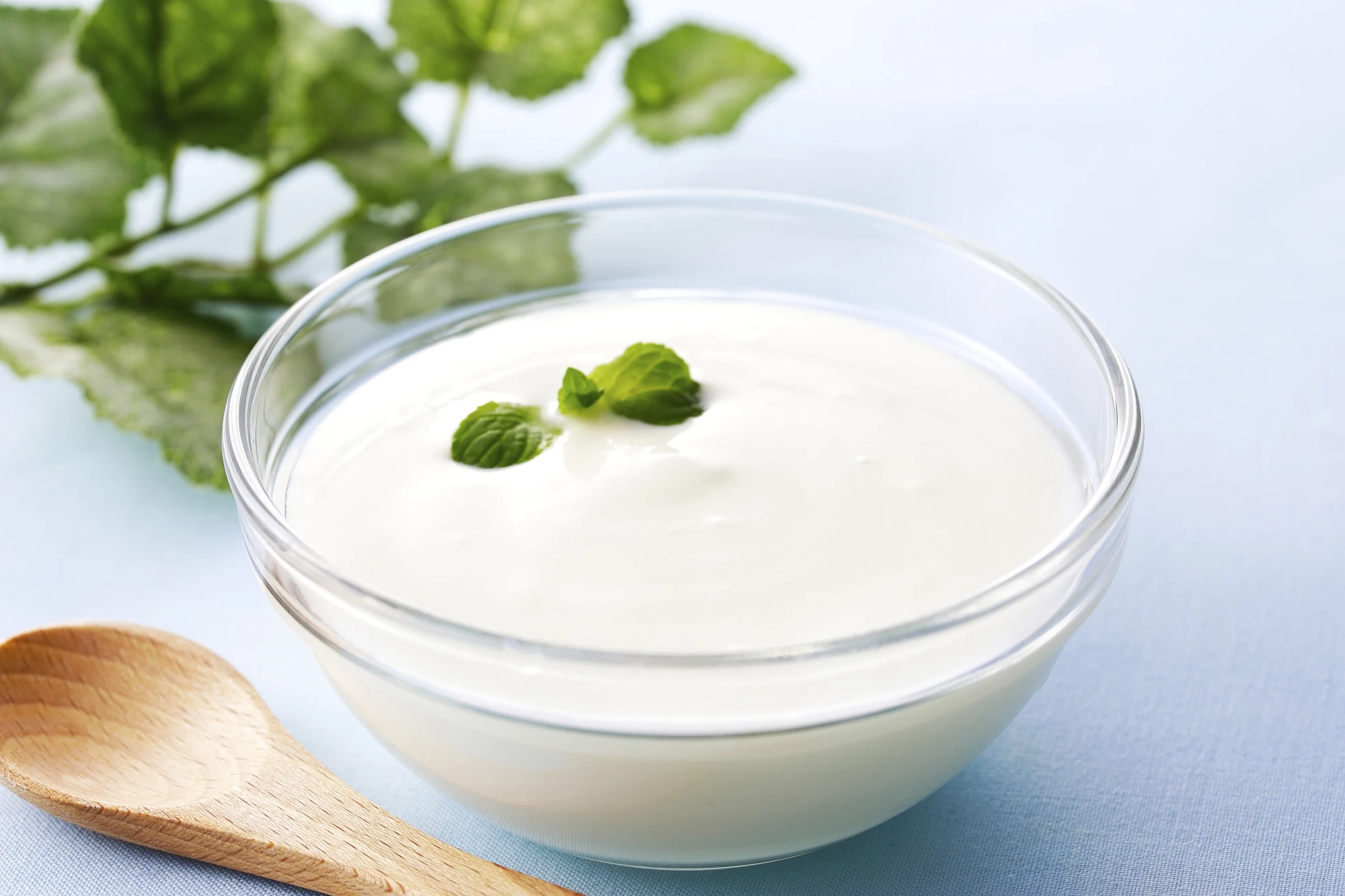 Хит продаж японские товары для покупок на телевизор оригинальный домашний кефир