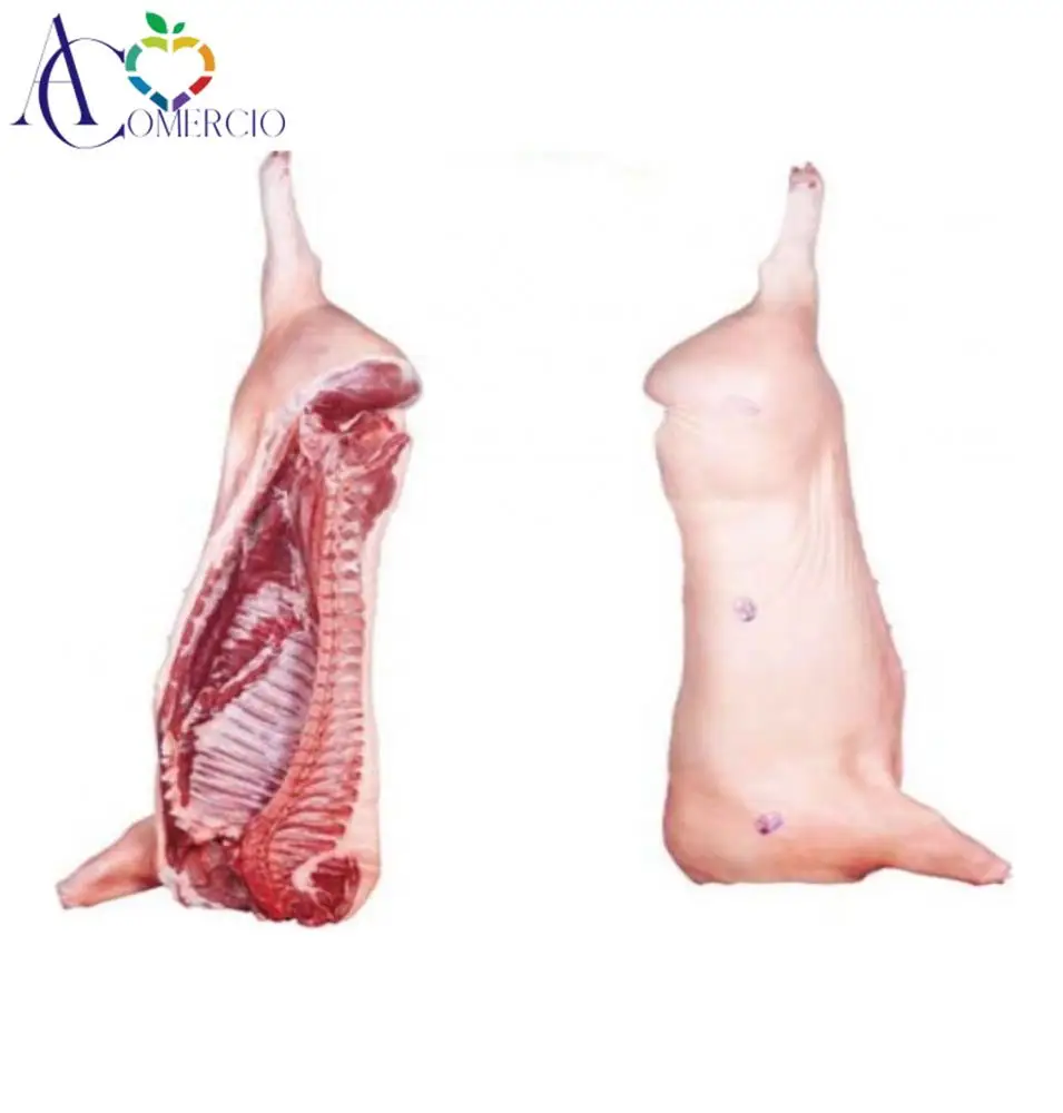 
Frozen Pork Whole / Half / Two-Way / Six-Way Carcass 