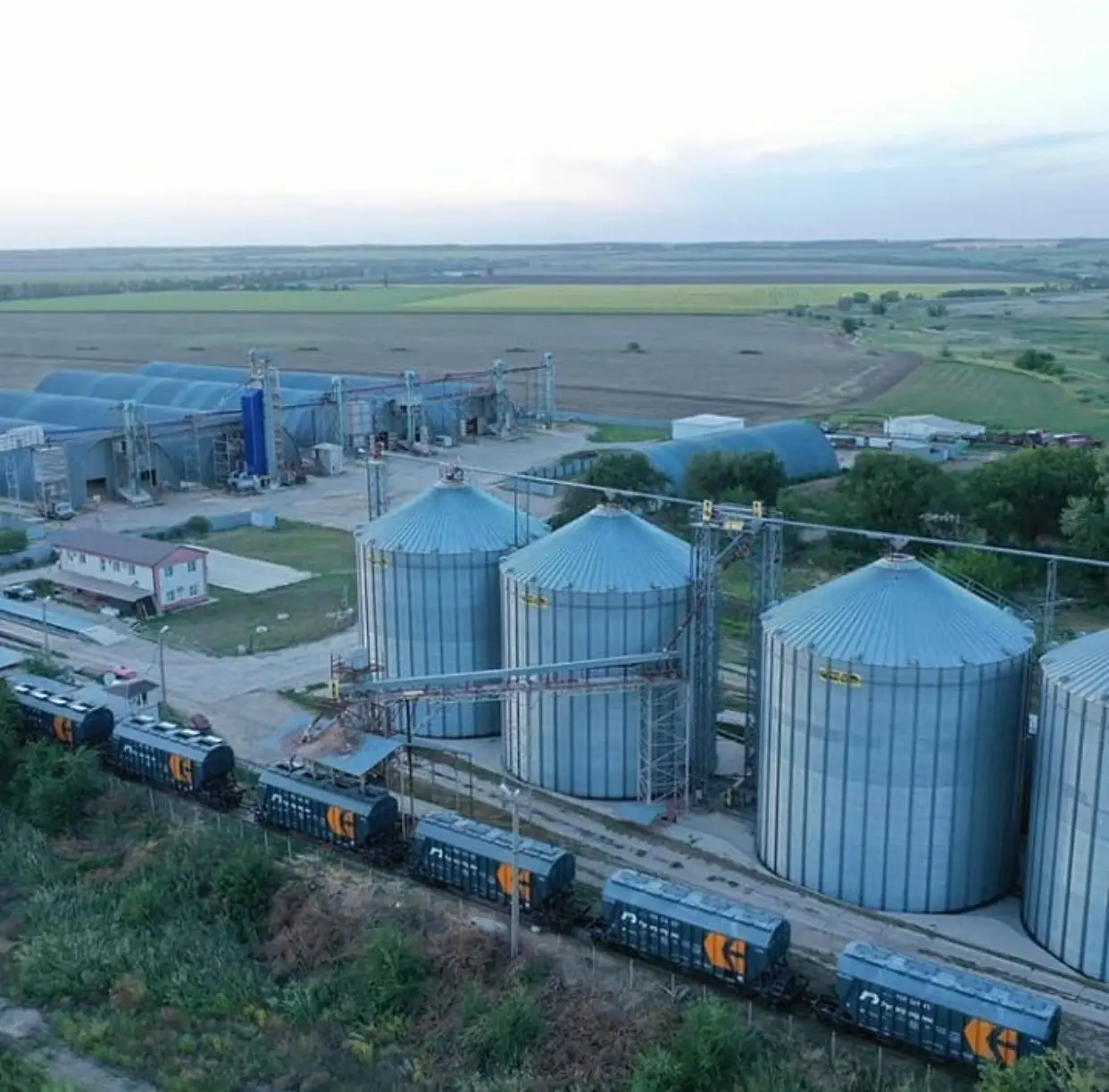 Оптовые поставщики пшеницы