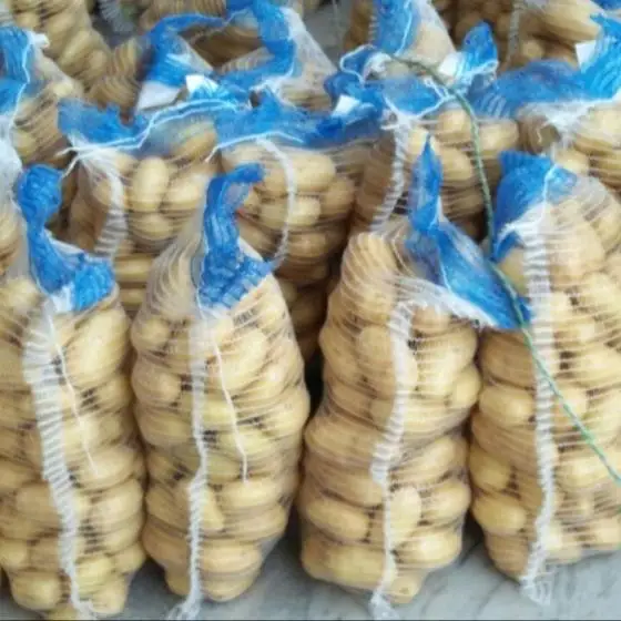 Quality Fresh Potato at Wholesale Price