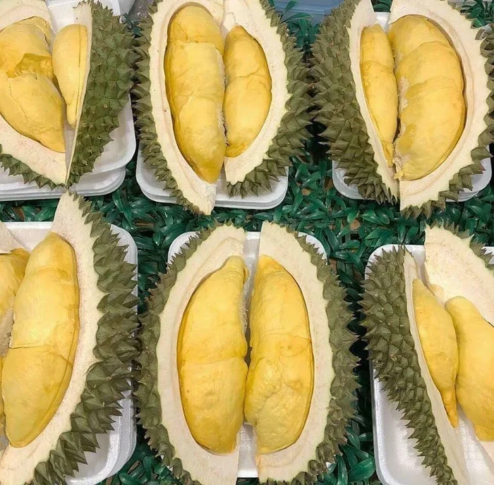 Свежий дуриан общего типа культивирования свежий Ri 6 экспорт сделано в Вьетнаме коробка упаковка Натуральный Вкусный