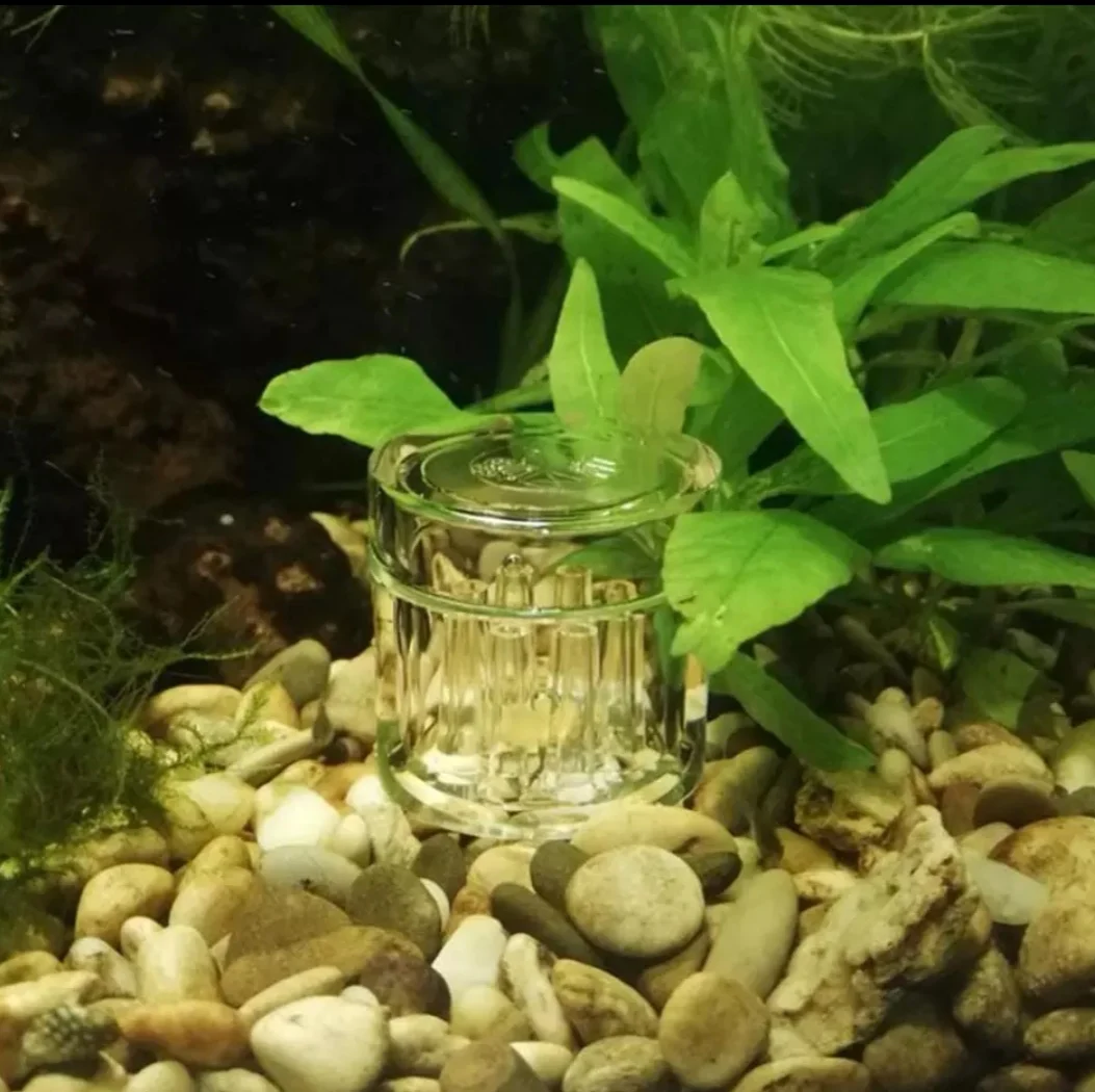 8 Holes Plastic Aquarium Tank Catcher Trap Tube Trapper for Planaria Worm Leech